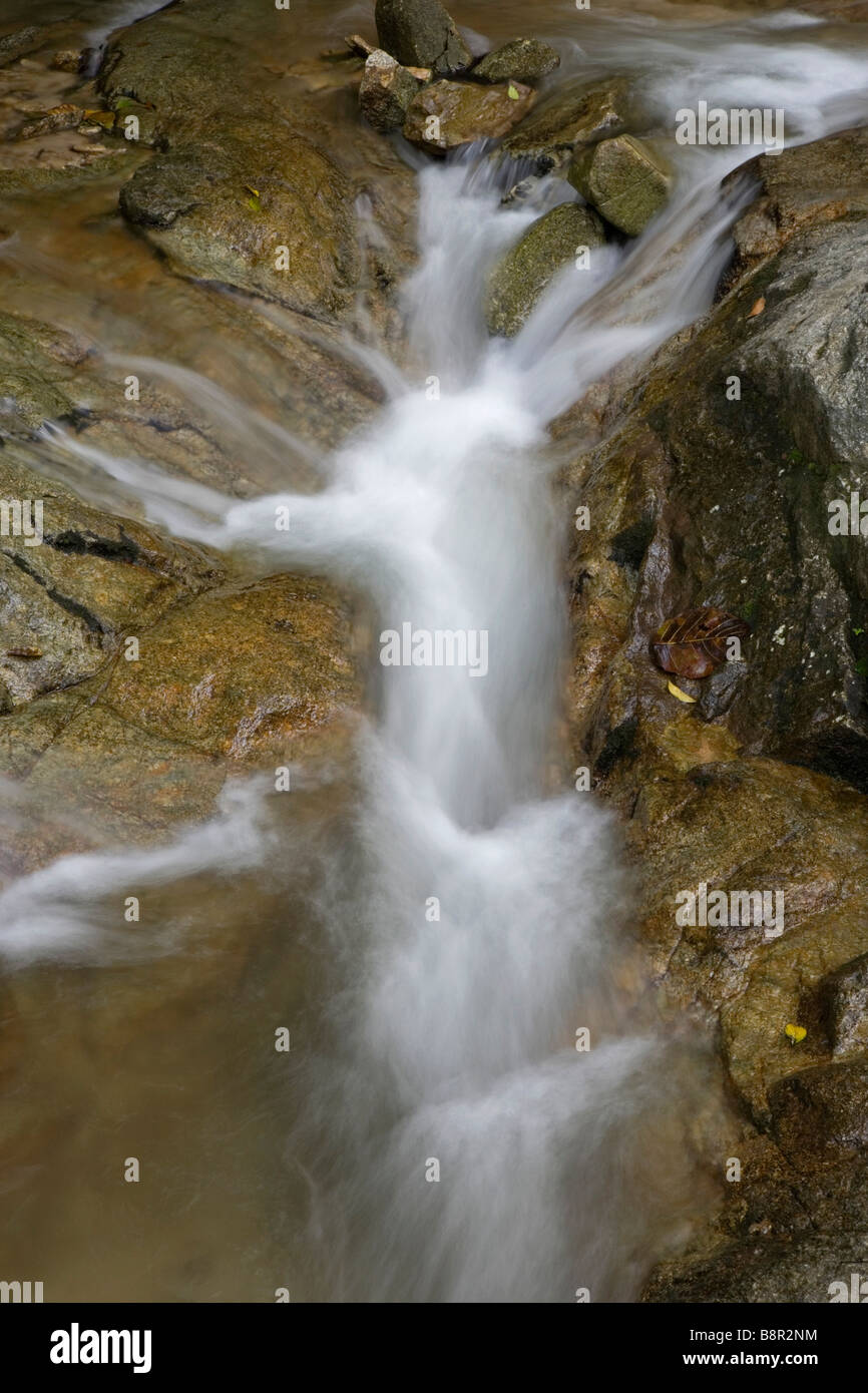 Cascade de Commonwealth Forest Park, Rawang, Malaisie Banque D'Images
