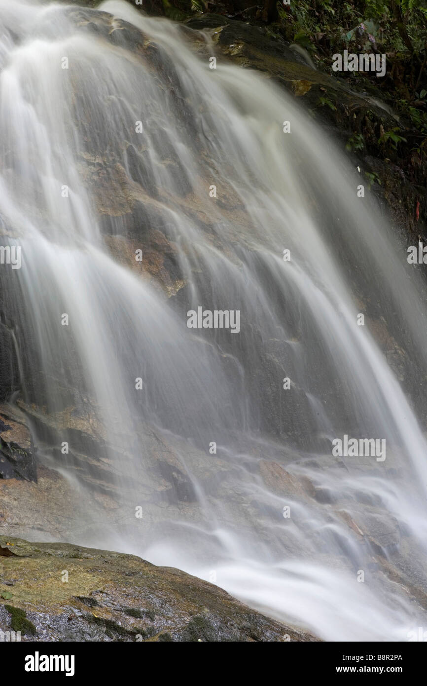 Cascade de Commonwealth Forest Park, Rawang, Malaisie Banque D'Images