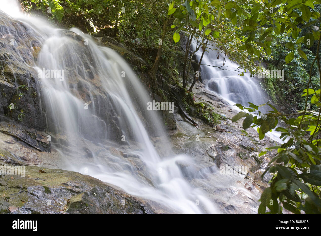Cascade de Commonwealth Forest Park, Rawang, Malaisie Banque D'Images