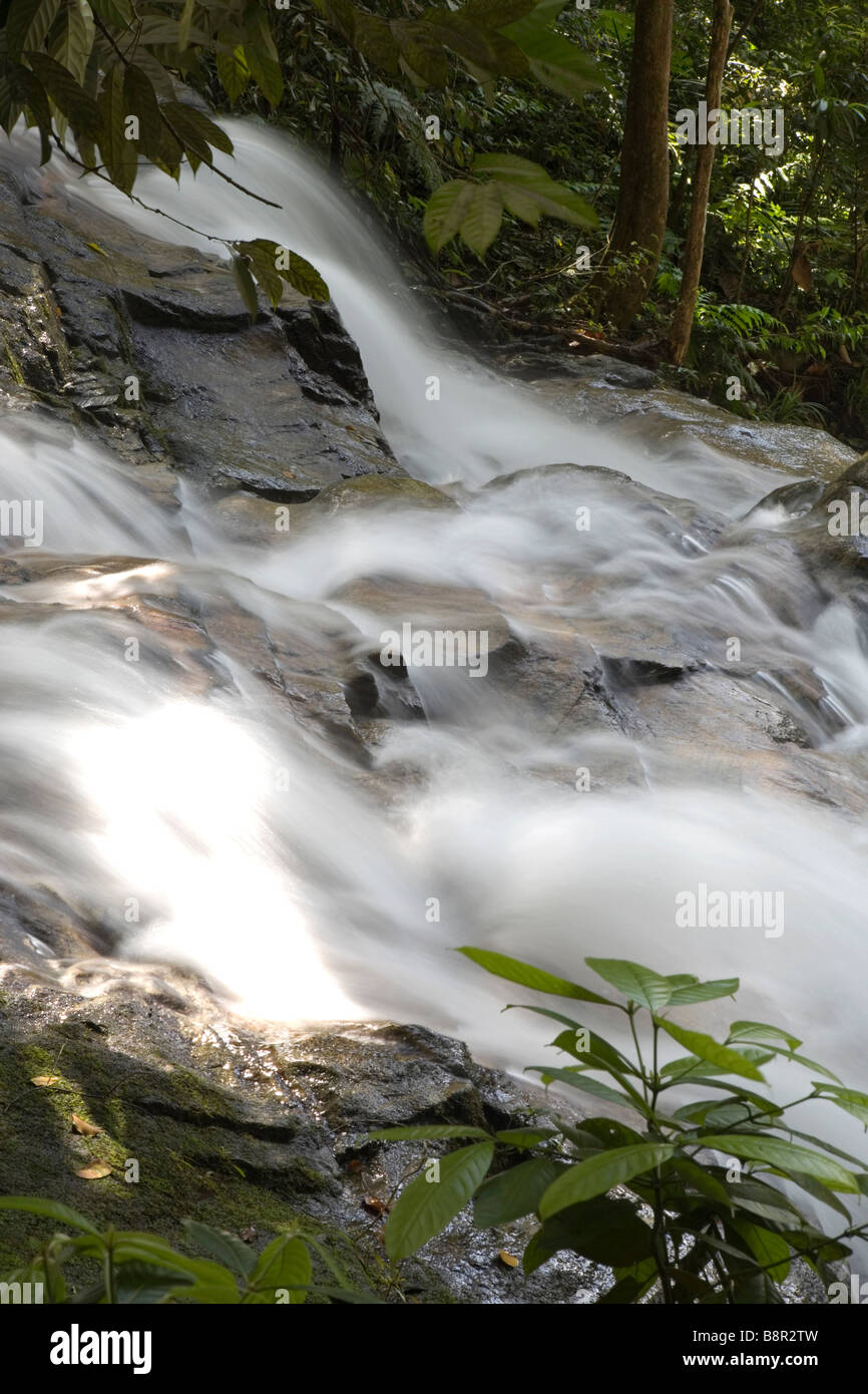 Cascade de Commonwealth Forest Park, Rawang, Malaisie Banque D'Images