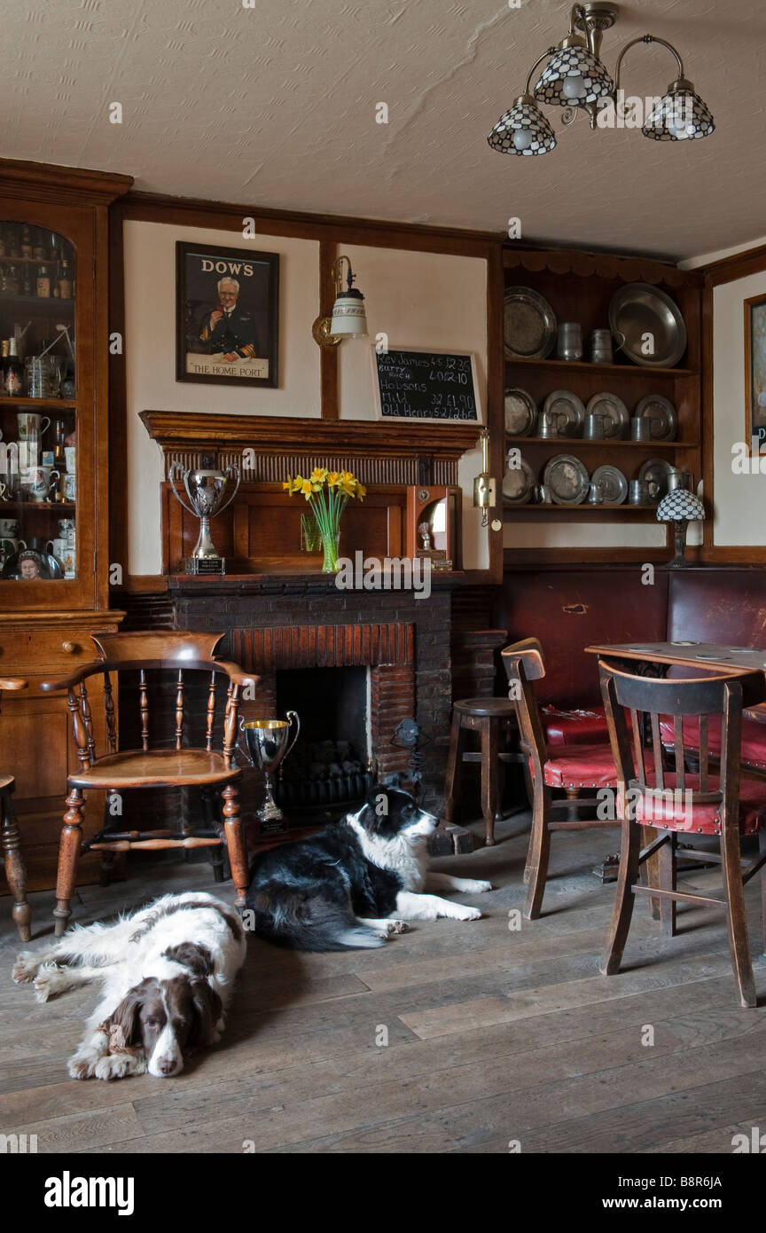 Les deux chiens de la landlady se détendant dans le Snug à la Olde Tavern, Kington, Herefordshire, Royaume-Uni. Un véritable pub local, sans changement depuis les années 1950 Banque D'Images
