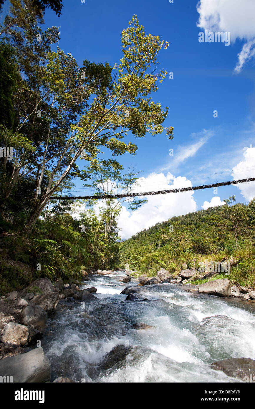 Un ruisseau de montagne tropicales avec pont suspendu Banque D'Images