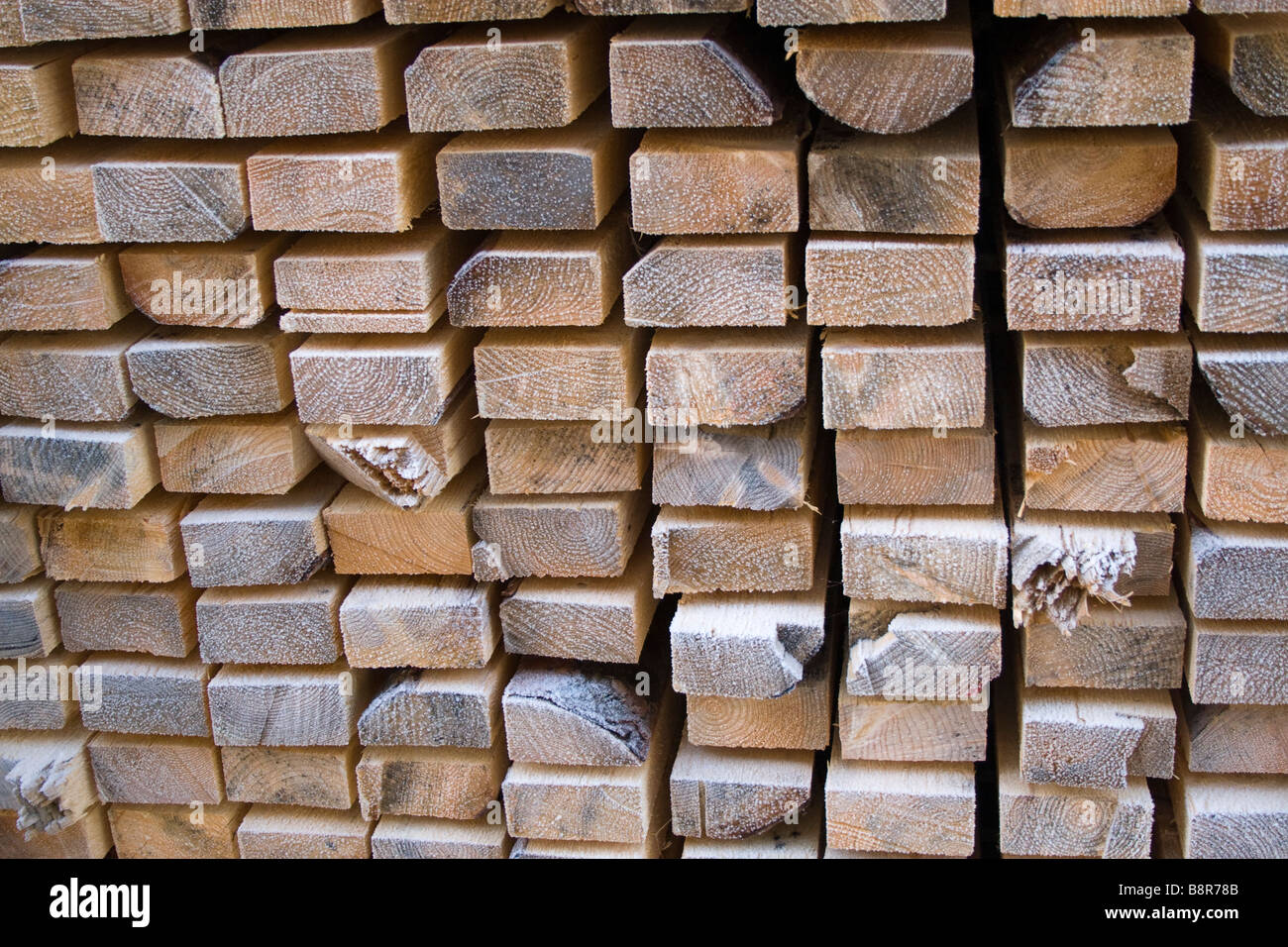 Pile de bois Banque D'Images