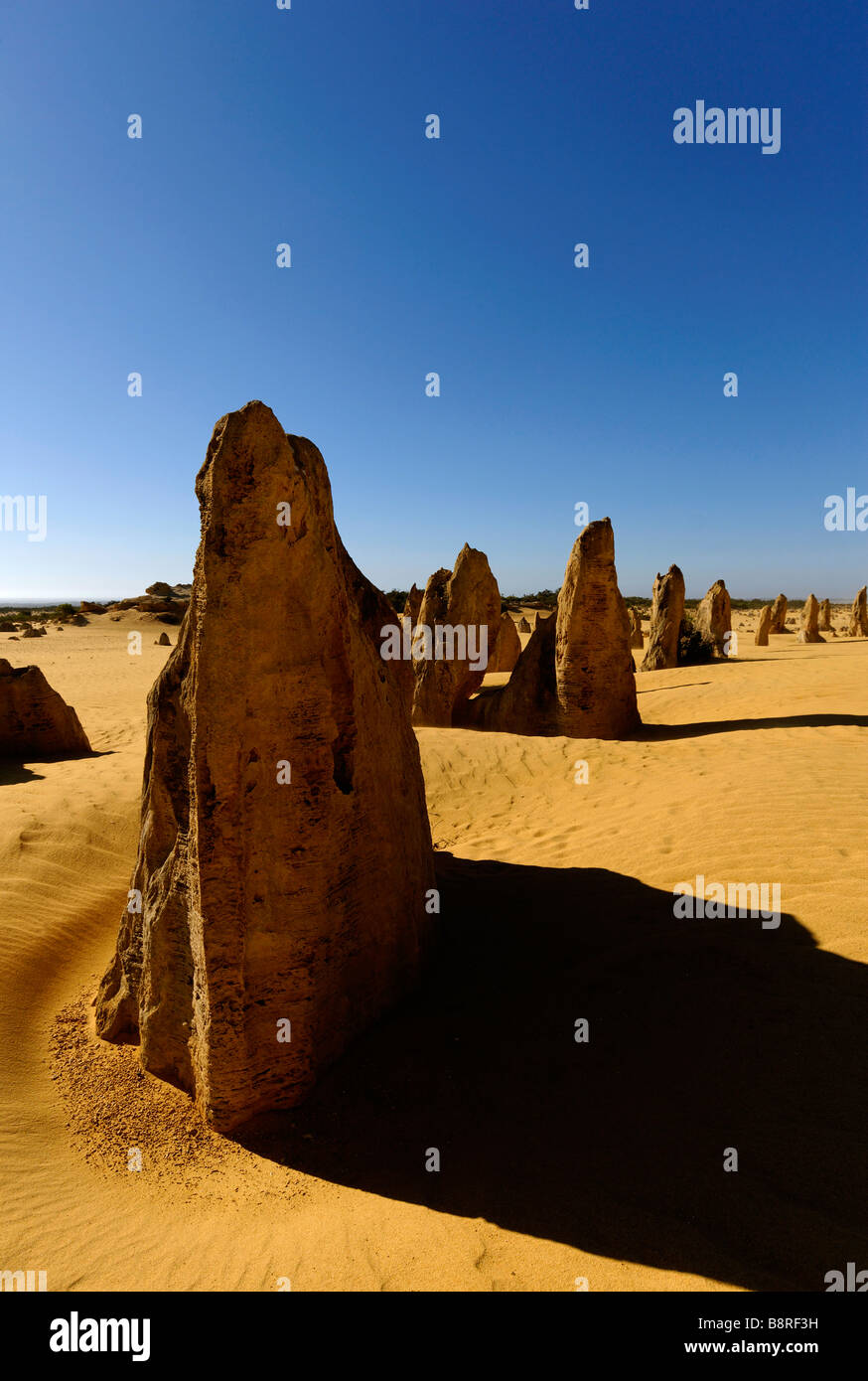 Les Pinnacles, Australie de l'ouest du Parc National de Nambung formations calcaires Banque D'Images