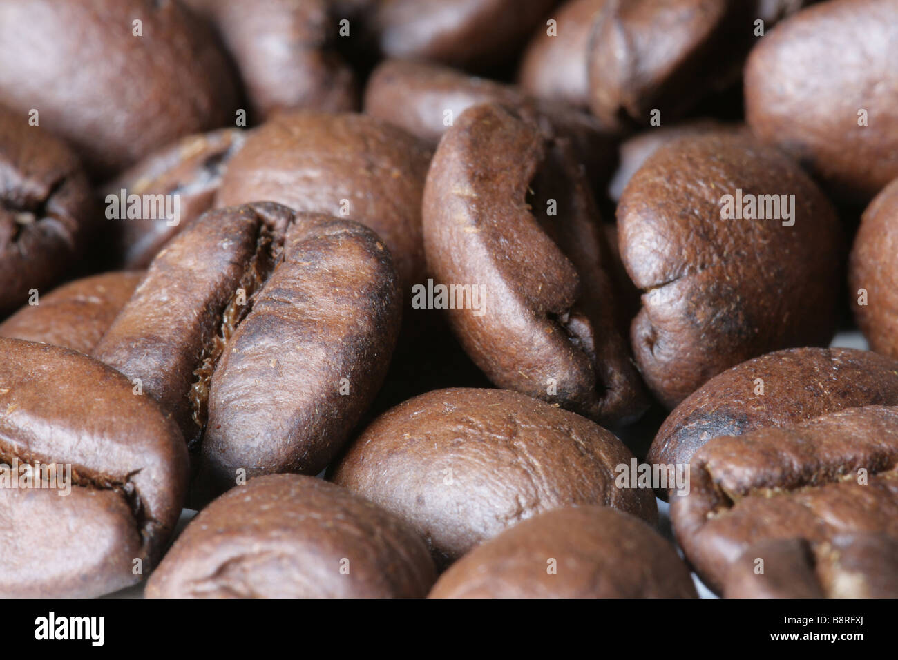 Un plan macro de grains de café Banque D'Images