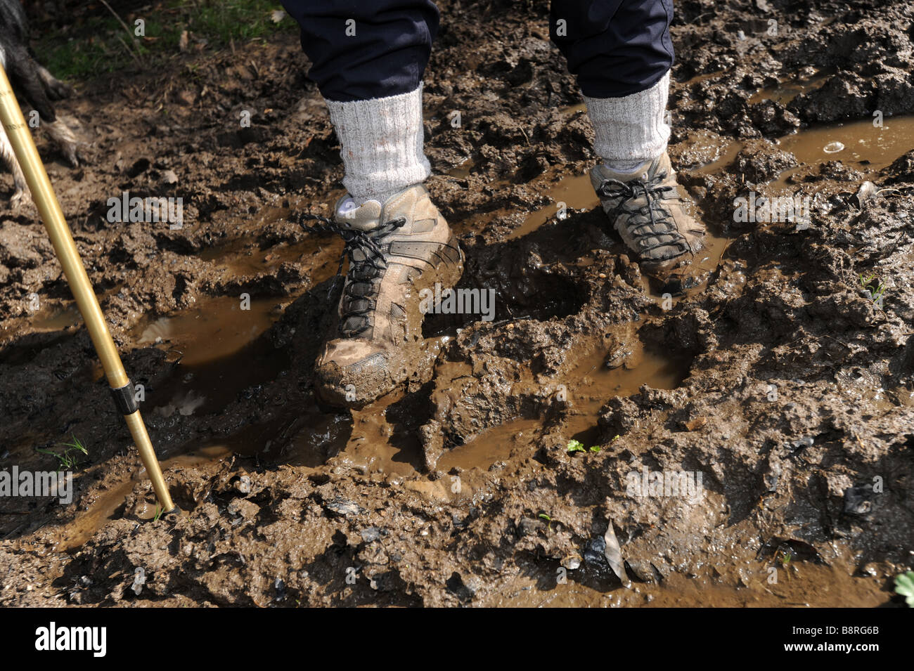 Bottes de randonnée coincé dans la boue sur walker Banque D'Images
