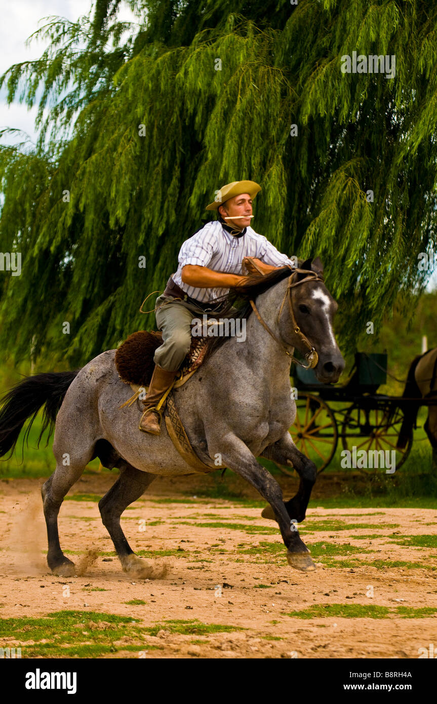 Éleveur de chevaux argentins, Buenos Aires Banque D'Images
