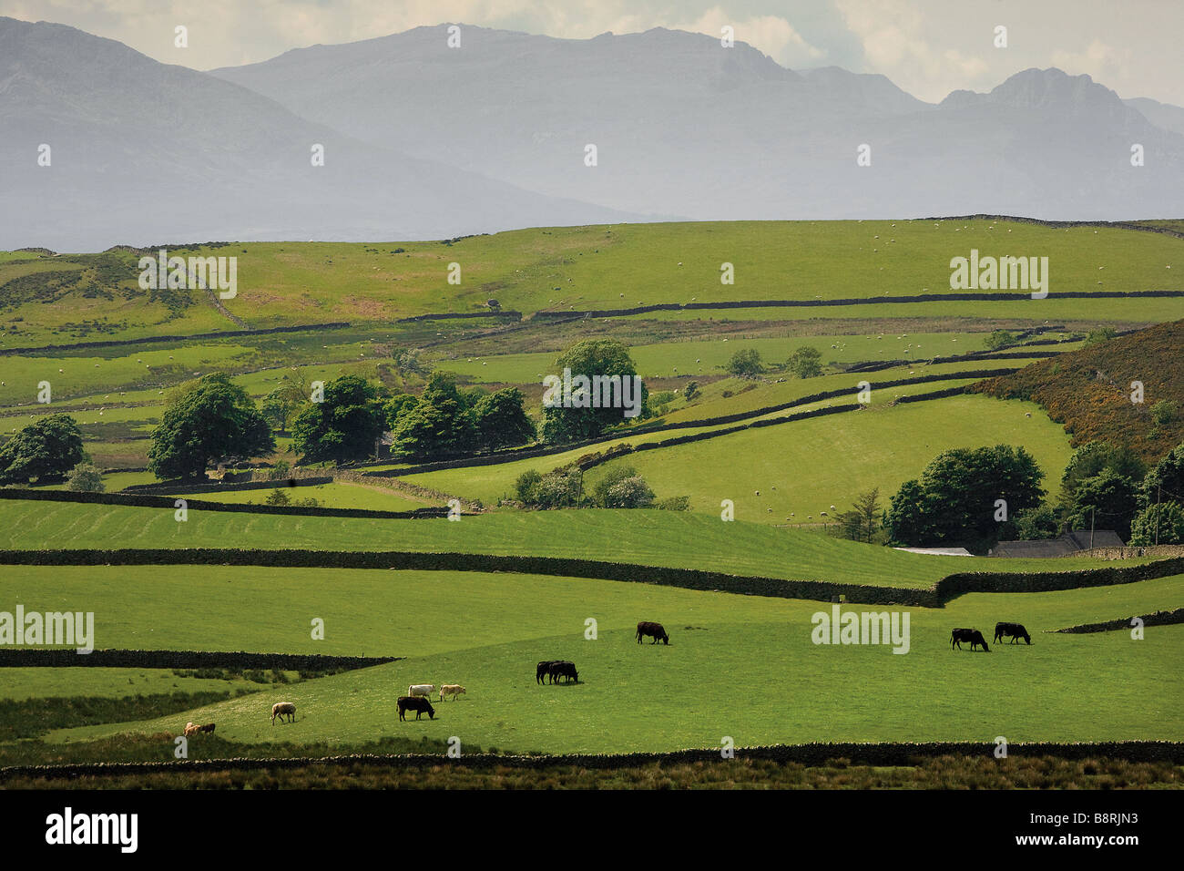 Paysage de Conwy avec montagnes de Snowdonia en arrière-plan le Nord du Pays de Galles UK Banque D'Images