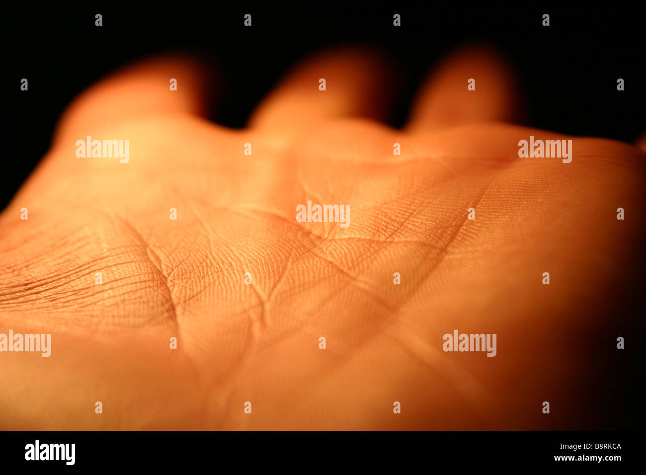 Close up de lignes sur la paume de la main d'une personne Banque D'Images