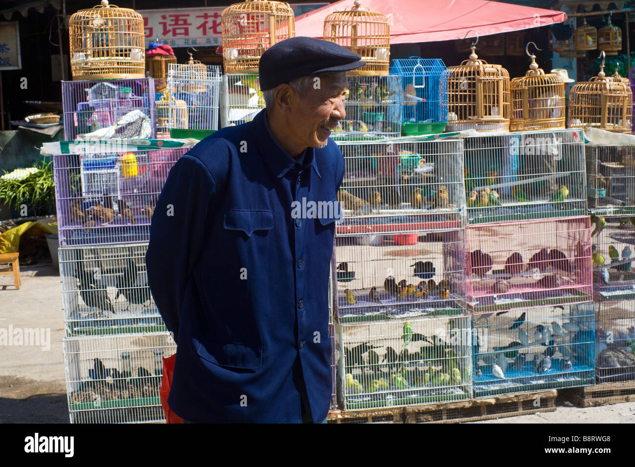 Marchand d'oiseaux en uniforme de Mao au marché de Lijiang, Chine Banque D'Images