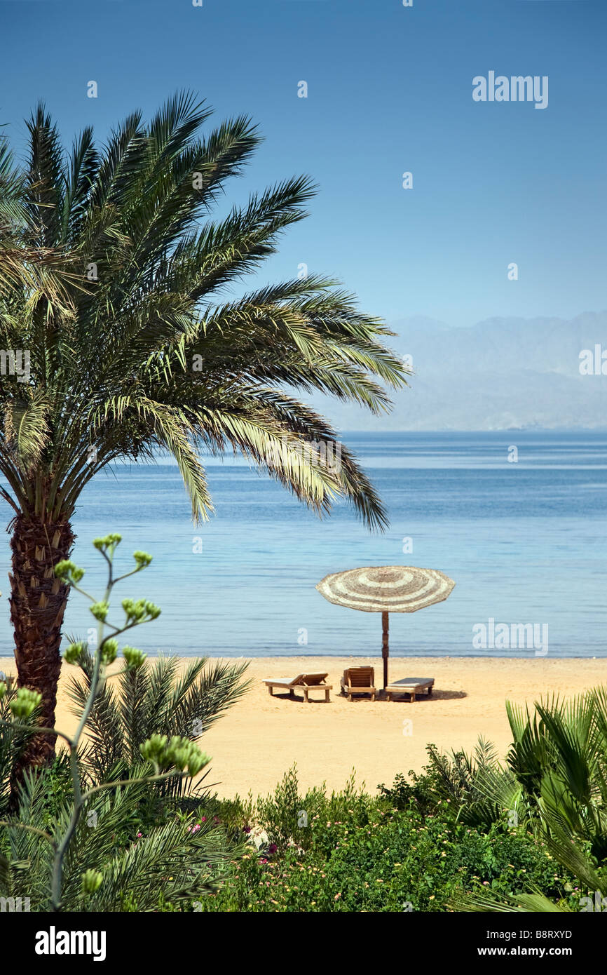 Des chaises longues sous un soleil visible à travers les palmiers bordant une plage déserte de la Mer Rouge égyptienne Banque D'Images