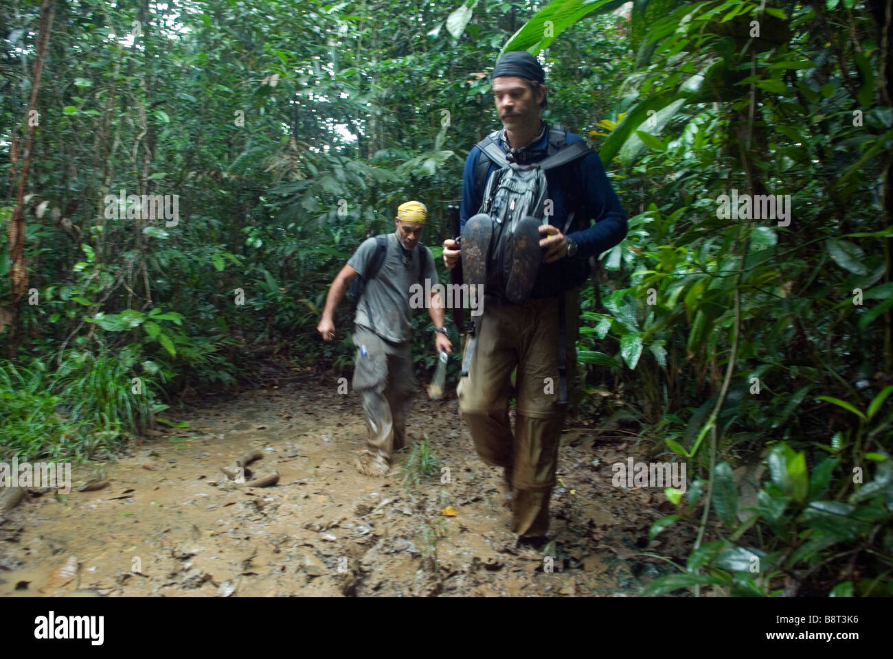 Expédition dans la jungle du Darien Panama passage infâme région Banque D'Images