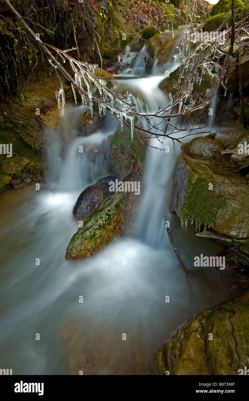 Petite chute d'eau d'un ruisseau et branche d'arbre avec de la glace Banque D'Images