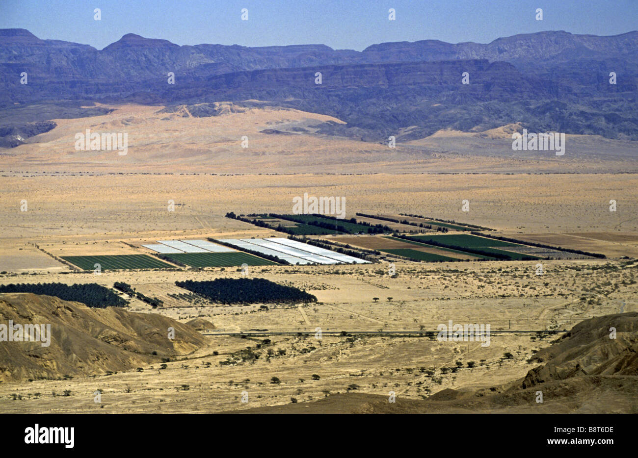 Les champs irrigués dans le désert du Néguev, Israël Banque D'Images