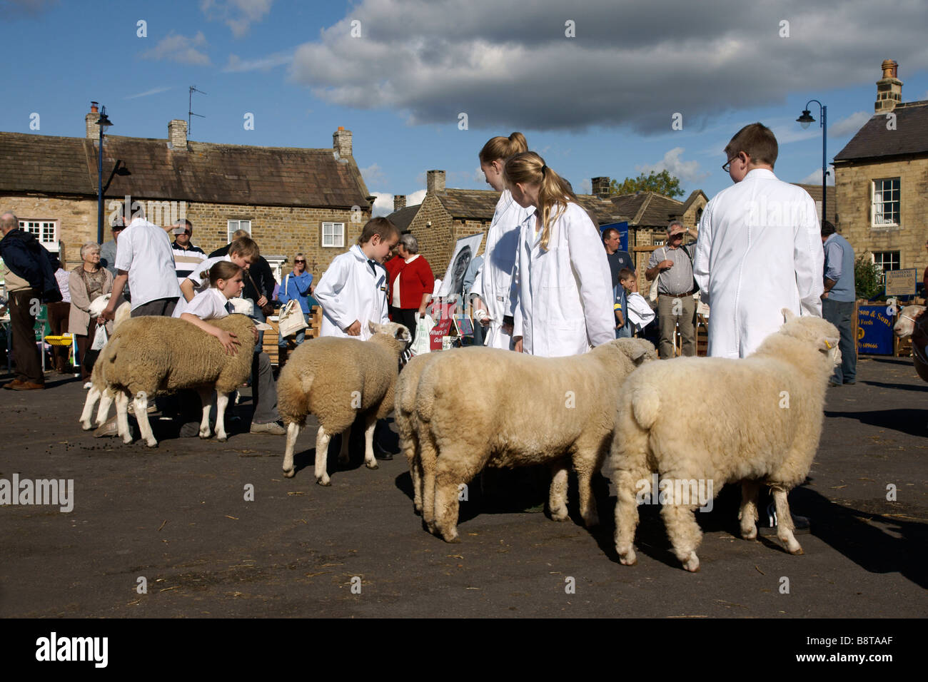 Les jeunes exposants à Masham Moutons juste au nord Yorkshire Angleterre Royaume-uni (c) Marc Jackson Photography Banque D'Images