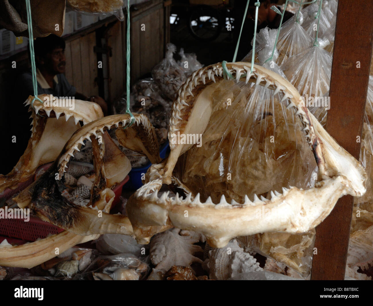 Mâchoires de requin séchées à vendre à Sabah Malaisie Bornéo Semporna marché sud-est asiatique Banque D'Images