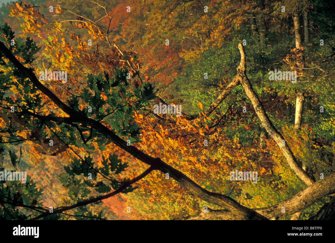 Le parc Rockwood en automne Banque D'Images