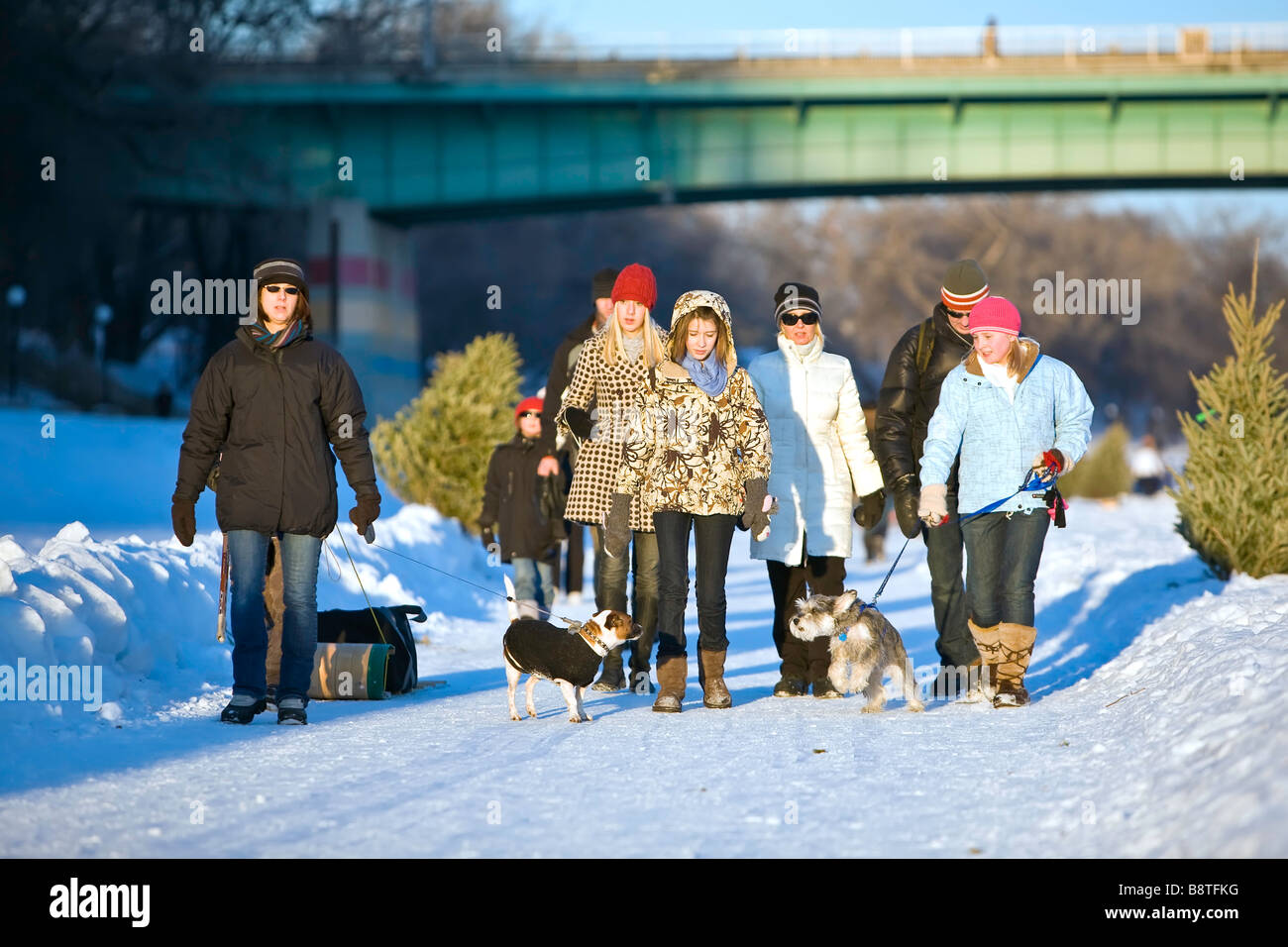 La marche à l'extérieur de la famille, de l'hiver, la solidarité. Sentier de la rivière Assiniboine, Winnipeg, Manitoba, Canada. Banque D'Images