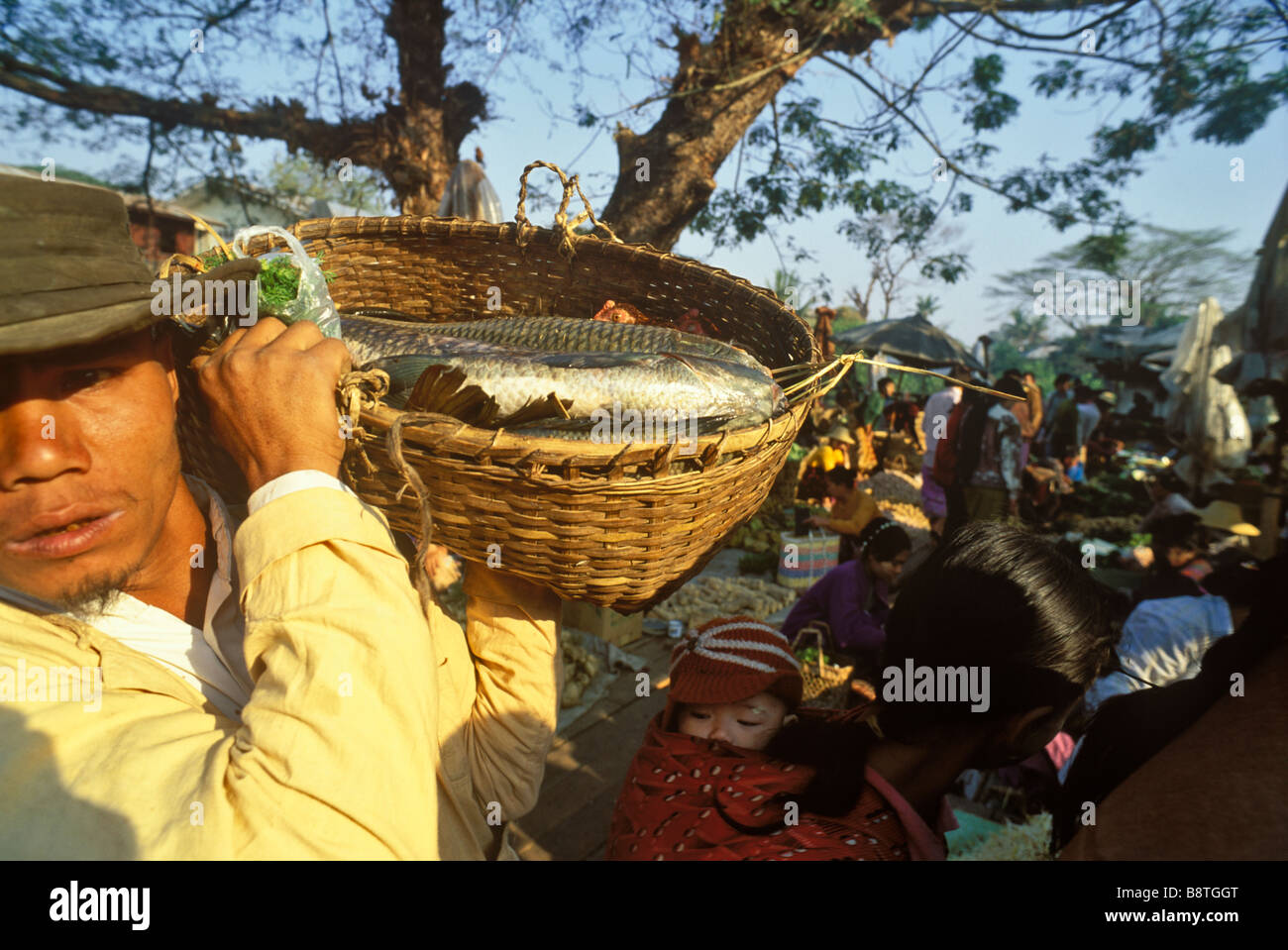 Marché de poisson de Bhamo tôt le matin le nord de la Birmanie Banque D'Images