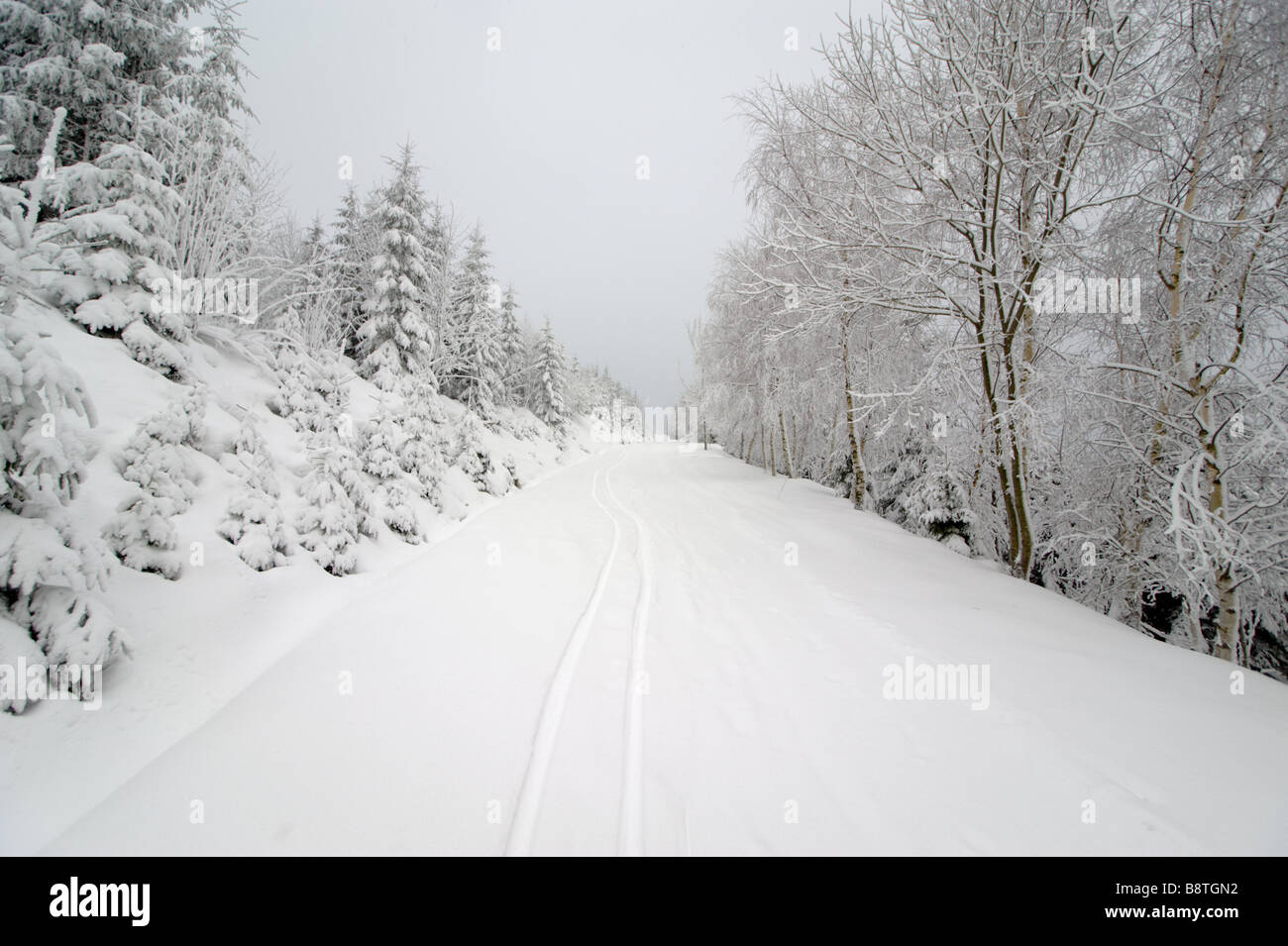 Paysage d'hiver Banque D'Images