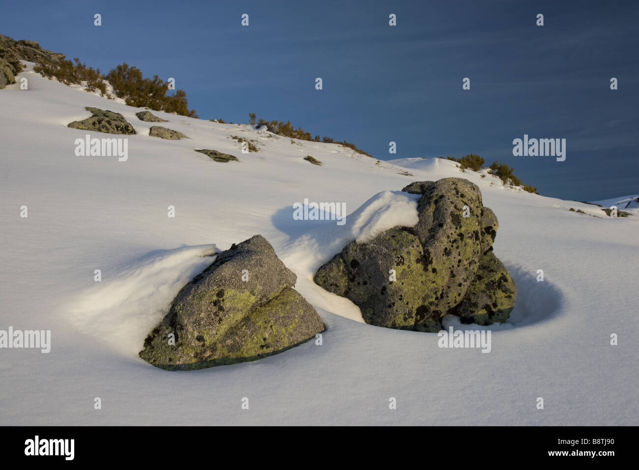 Rock sur la neige Banque D'Images