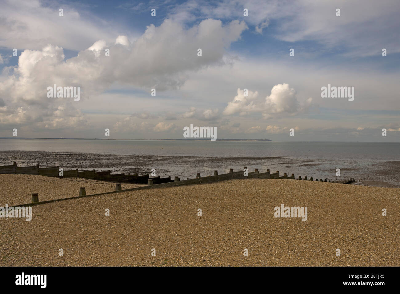 Plage avec gyrones ou l'Aine Whitstable Kent UK Banque D'Images