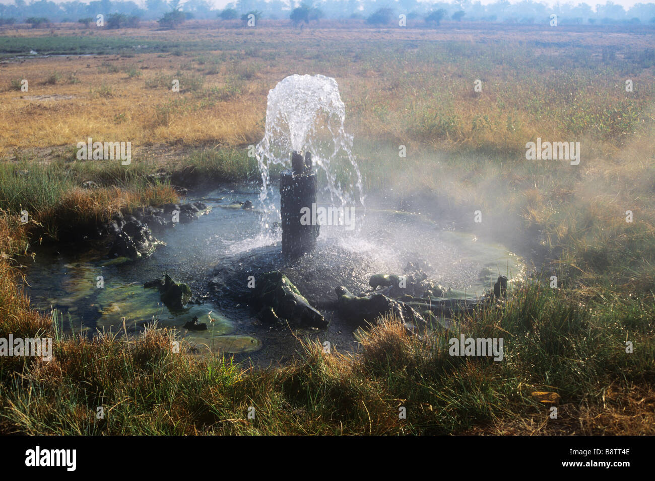 Un bain bouillonnant printemps artésien rural en Zambie Banque D'Images