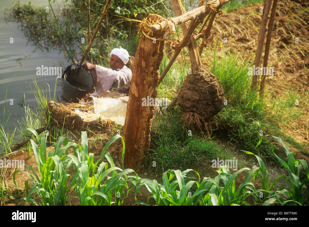 L'Égypte à l'aide d'un agriculteur shaduf pondérée d'un morceau de terre pour irriguer son champ. Méthode pharaonique traditionnelle. Banque D'Images
