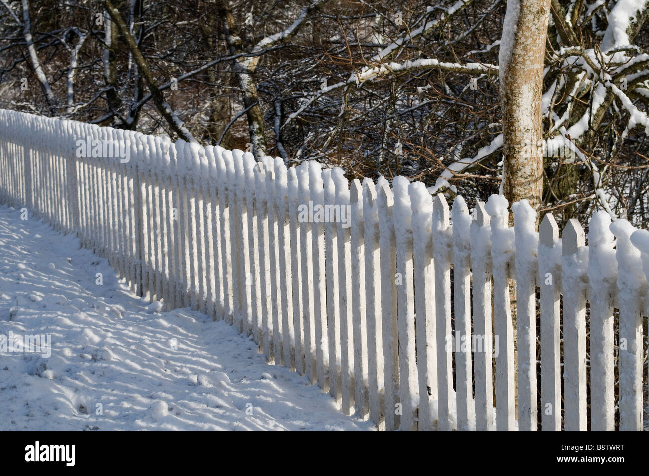 Snow Covered Fence Banque D'Images