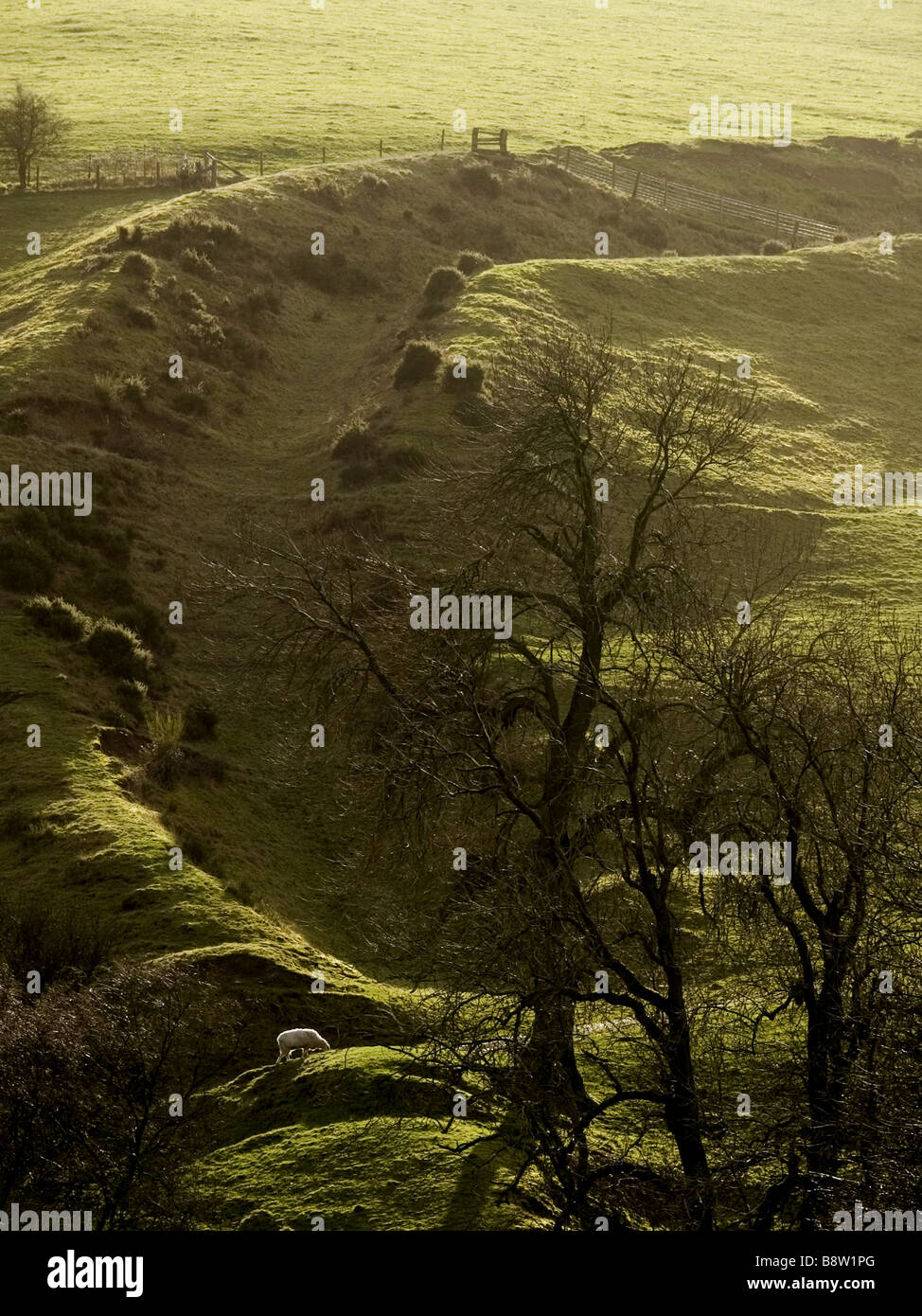 Spring Hill Offas Dyke Les Marches Shropshire England UK Banque D'Images