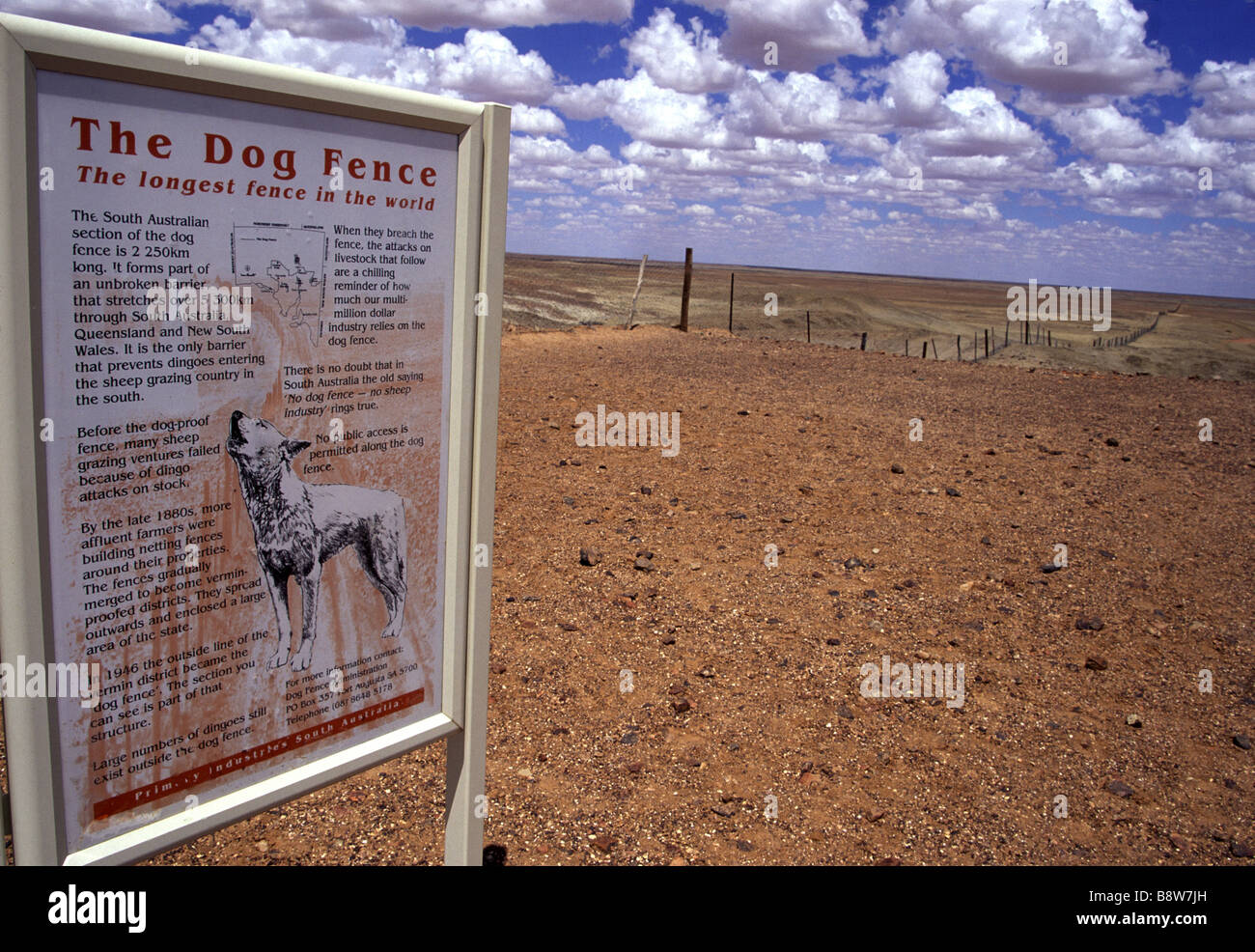 La plus longue ligne droite de 90 km à travers la Nullabor Plain Australie Banque D'Images