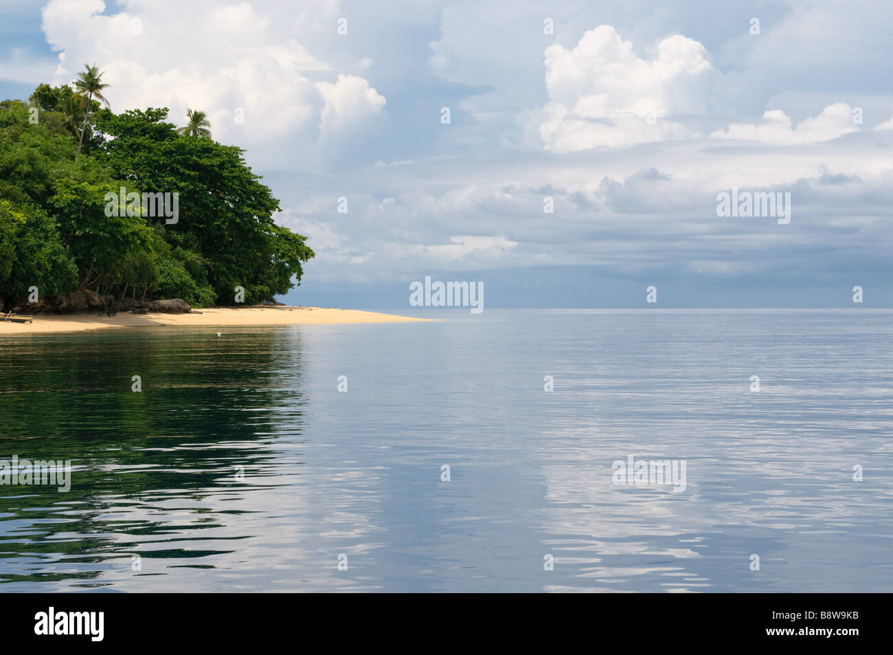 Tropical Island mer ciel et palmiers Banque D'Images