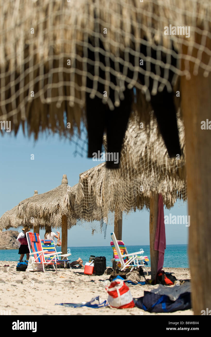 Les parasols en chaume au Parc National Marin de Cabo Pulmo, au Mexique. Banque D'Images