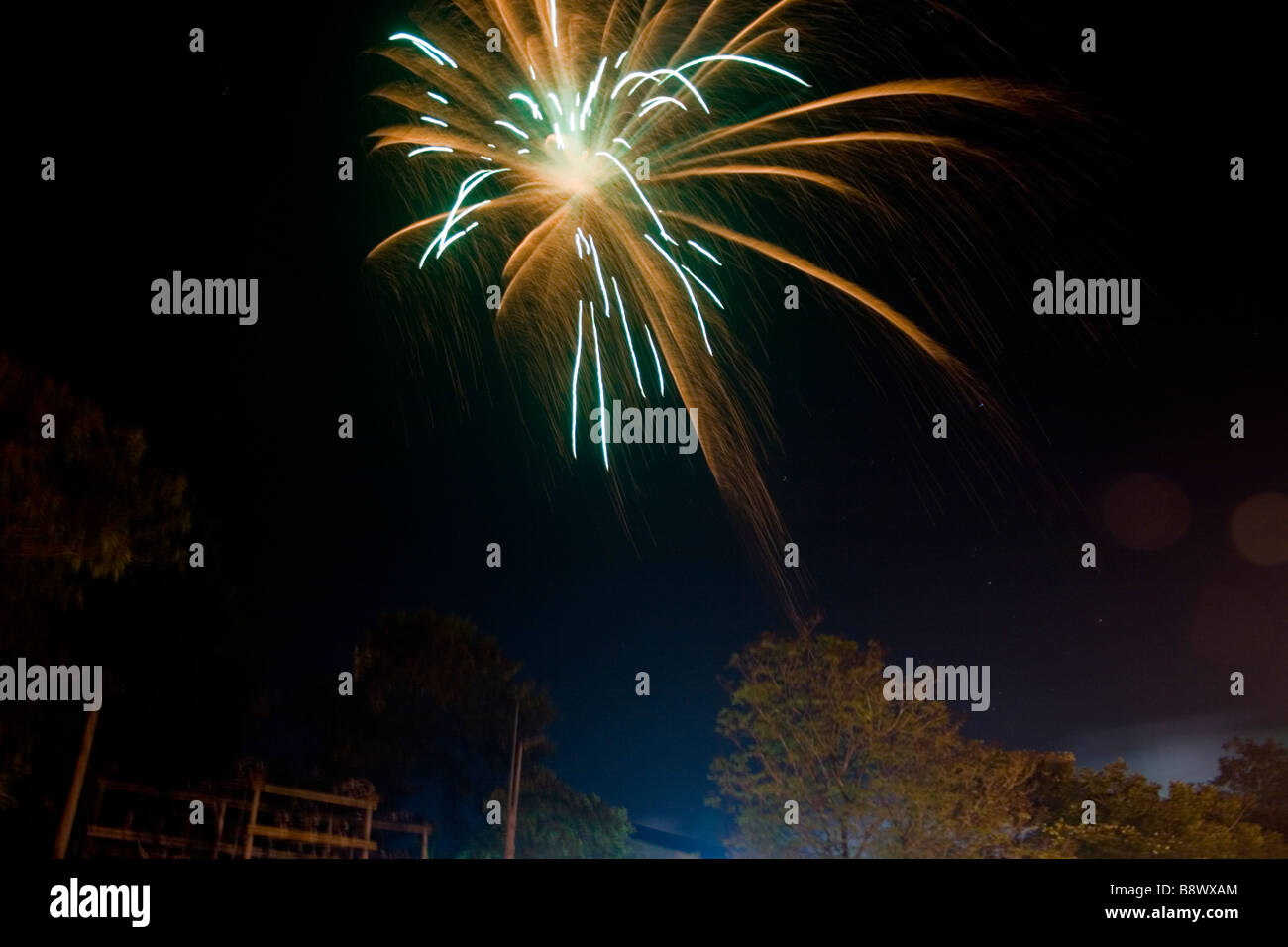 Au cours d'artifice nouvel an clebration à Sree Mulam Club à Trivandrum, Kerala Banque D'Images