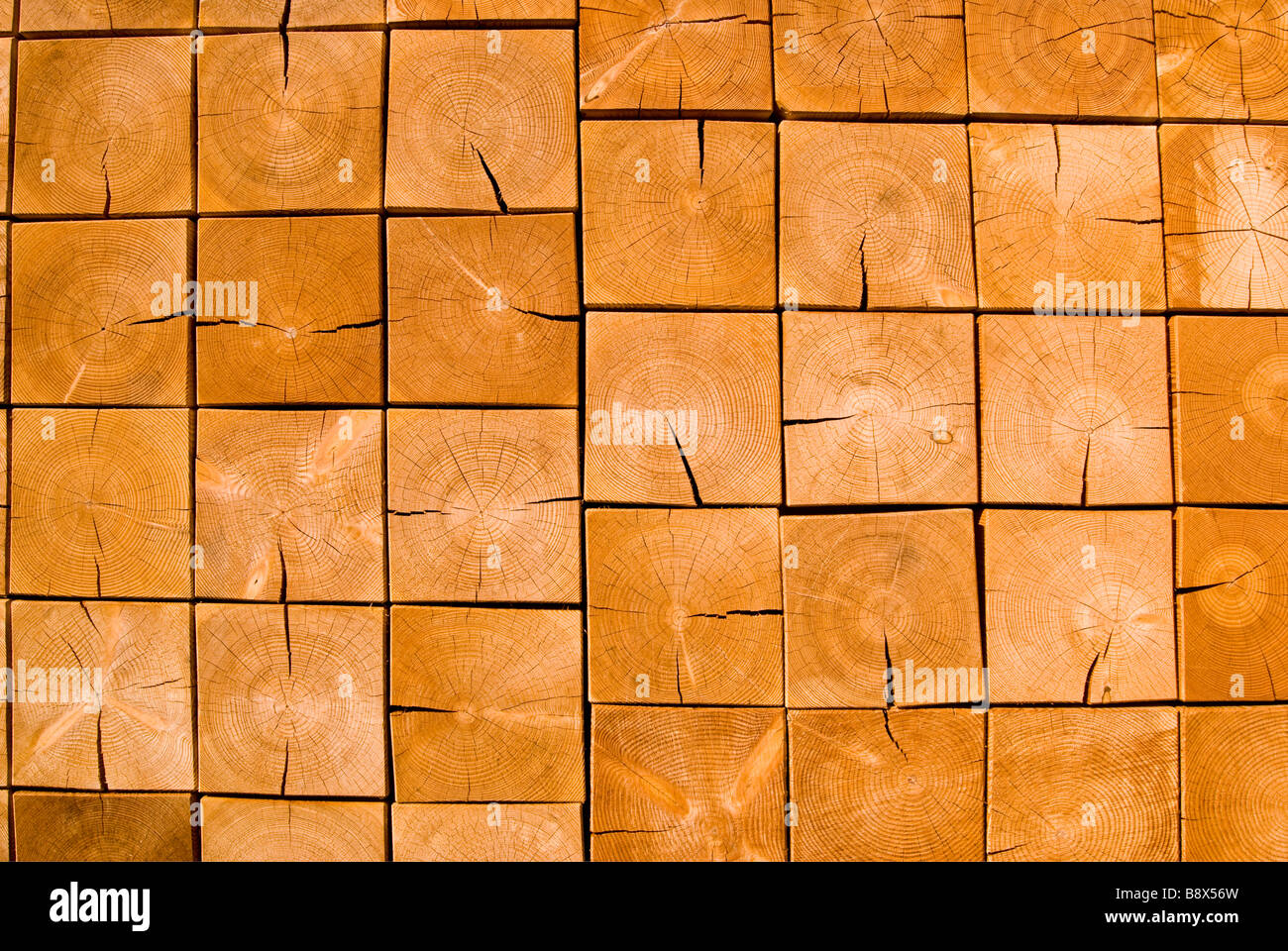 Blocs de bois empilées montrant fin grain de Frank Gehry bâtiment pavillon serpentine Banque D'Images