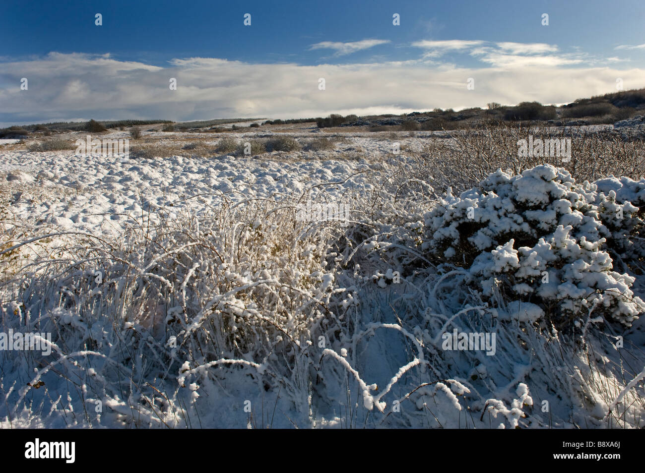 Champs couverts de neige dans l'ouest de l'Irlande Banque D'Images