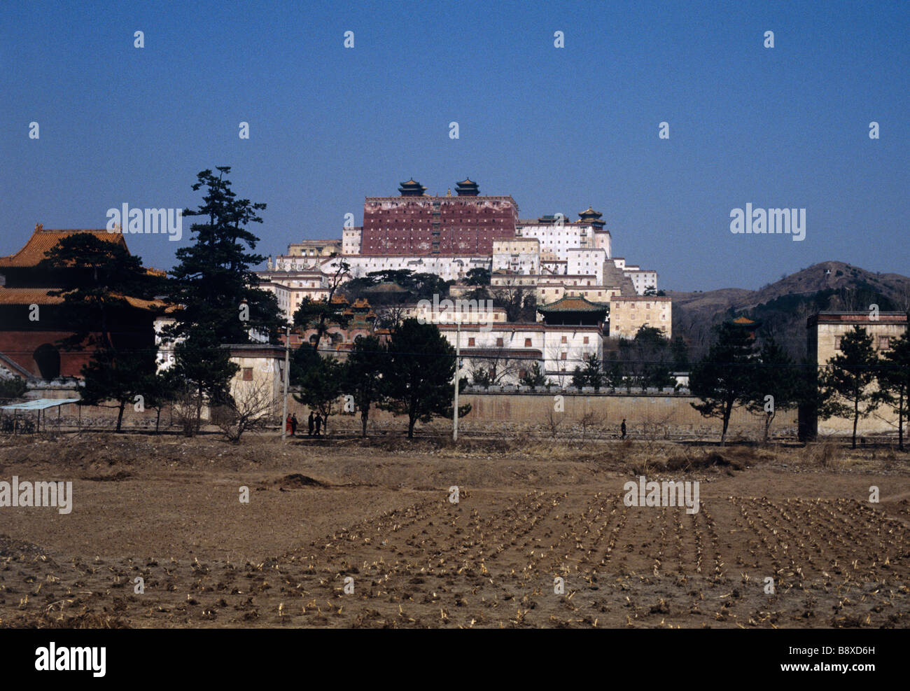 Pu Tuo Zong Sheng Zhi Miao, Temple Banque D'Images
