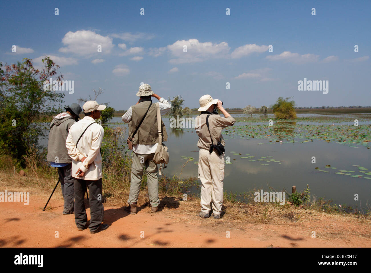 Les ornithologues, zone humide d'arpentage, Ang Tropeang Thmor Sarus Crane, réserver, au Cambodge Banque D'Images