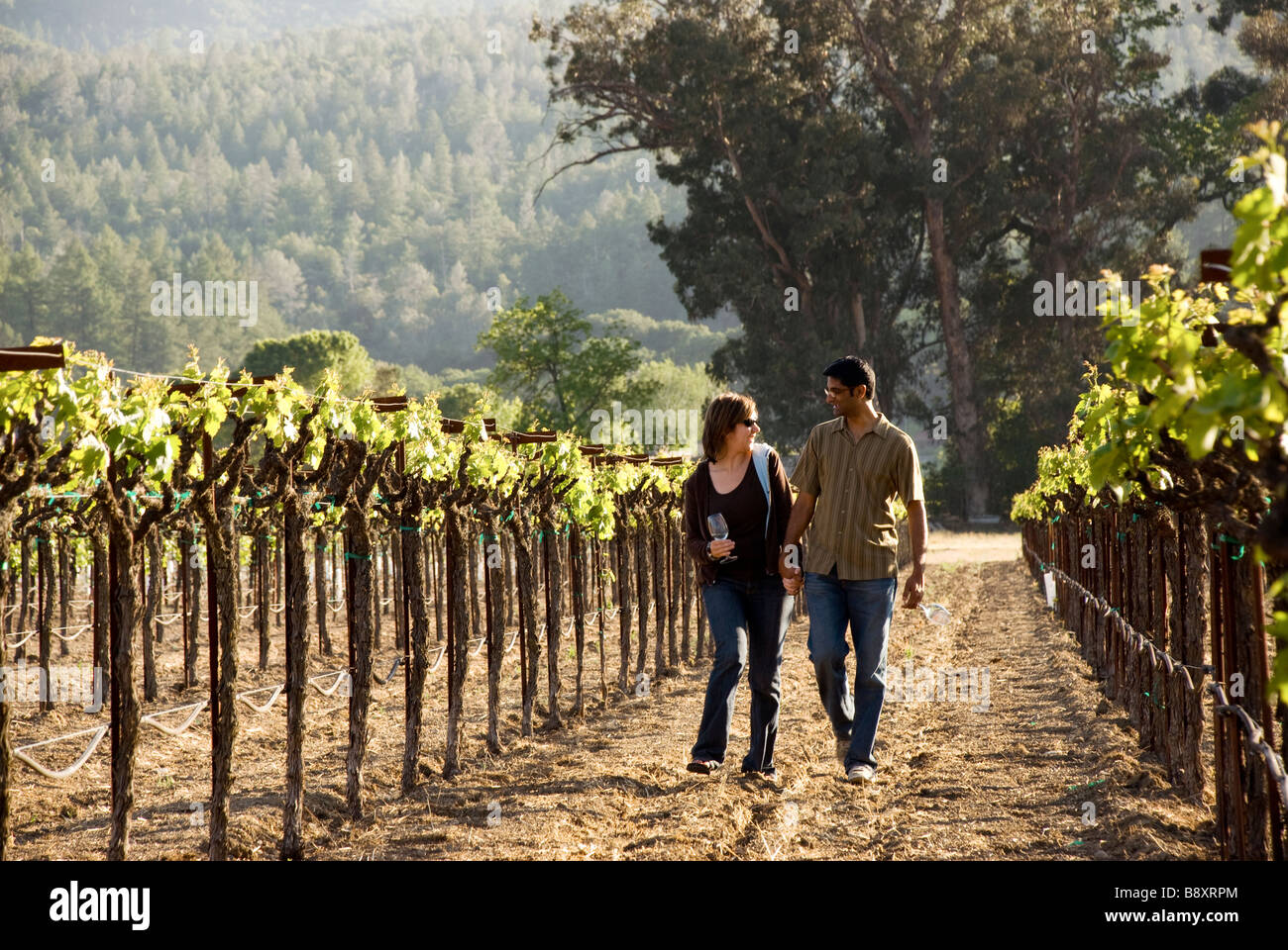 Couple walking in vineyard Banque D'Images