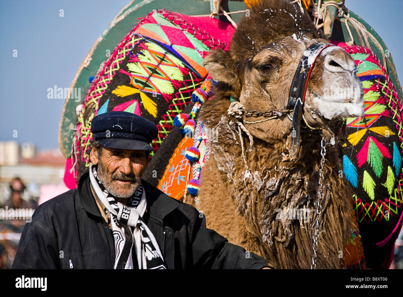 Homme turc avec camel prêt à combattre, la Turquie, l'Asie Banque D'Images