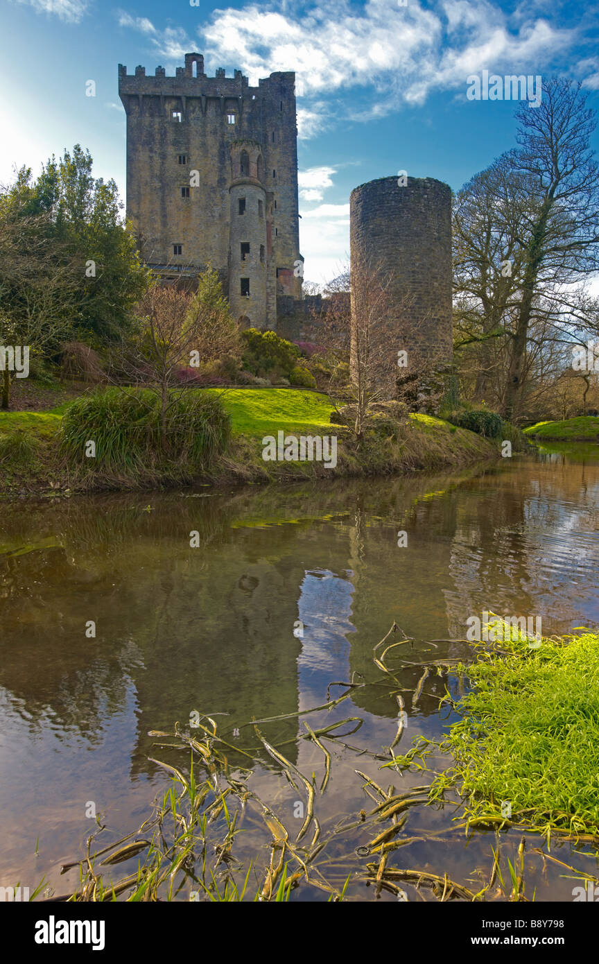 Le château de Blarney, Co.Cork, Irlande, accueil de la célèbre pierre de Blarney Banque D'Images Le château de Blarney, Co.Cork, Irlande, accueil de la célèbre pierre de Blarney Banque D'Images
