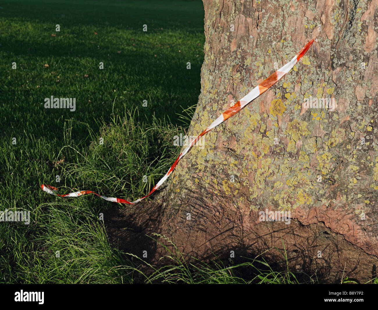 Tronc d'arbre avec des bandes d'avertissement Banque D'Images