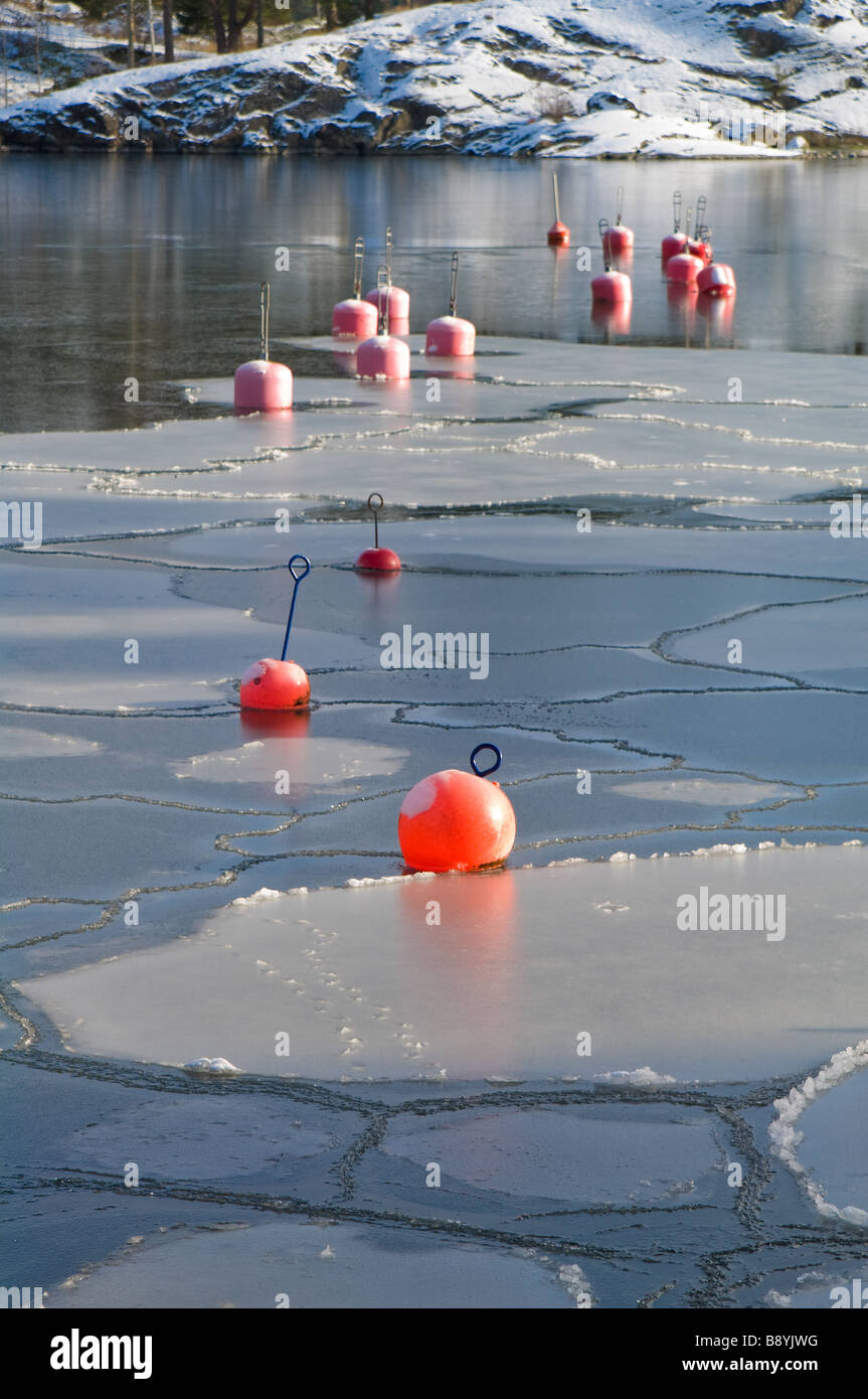 Bouées rouges en lac gelé Banque D'Images