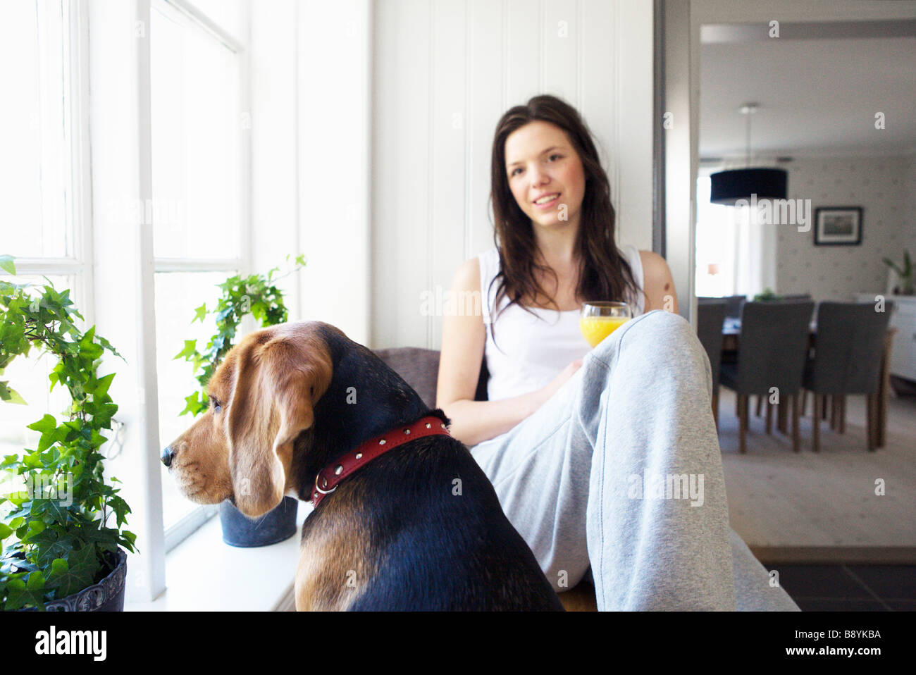 Une jeune femme et un chien de la Suède. Banque D'Images