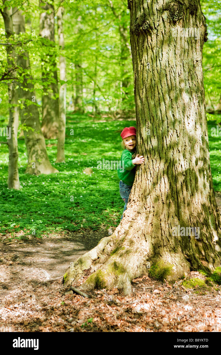 Un garçon se cachant derrière un tronc d'arbre Skane en Suède. Banque D'Images