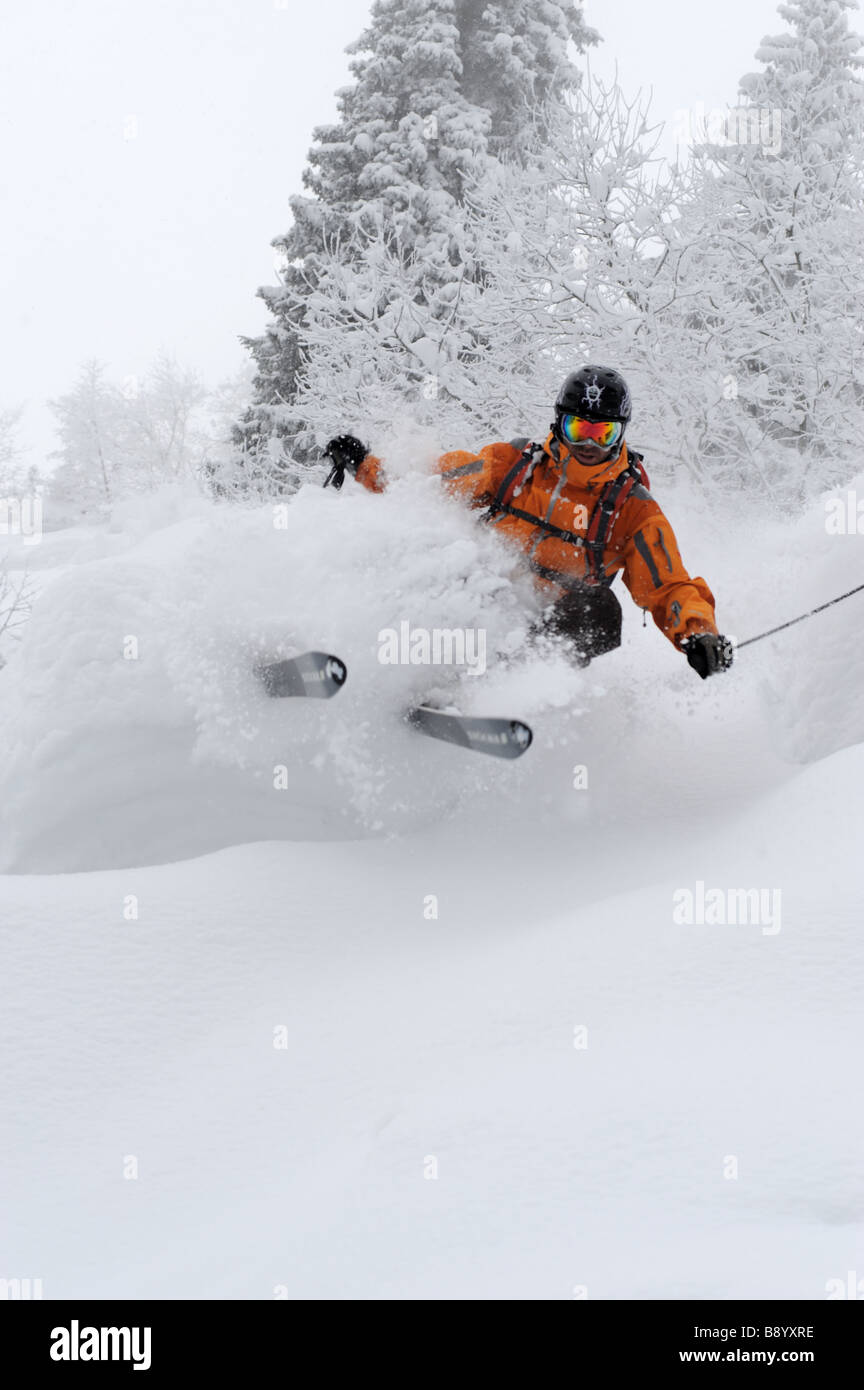 Freerider skies en poudre au cours de l'automne la neige profonde Banque D'Images