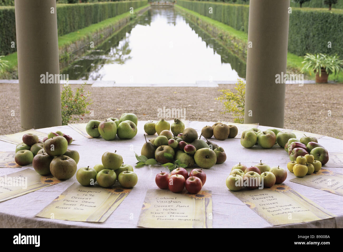 Jardin Cour Westbury Banque D'Images