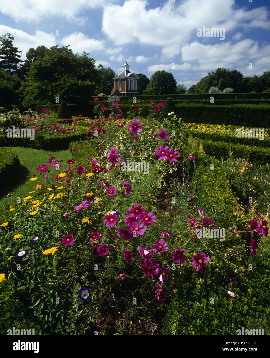 À l'été dans l'ensemble de fleurs y compris Cosmos 'Sensation', dans le jardin de cour Westbury, Gloucestershire. Banque D'Images