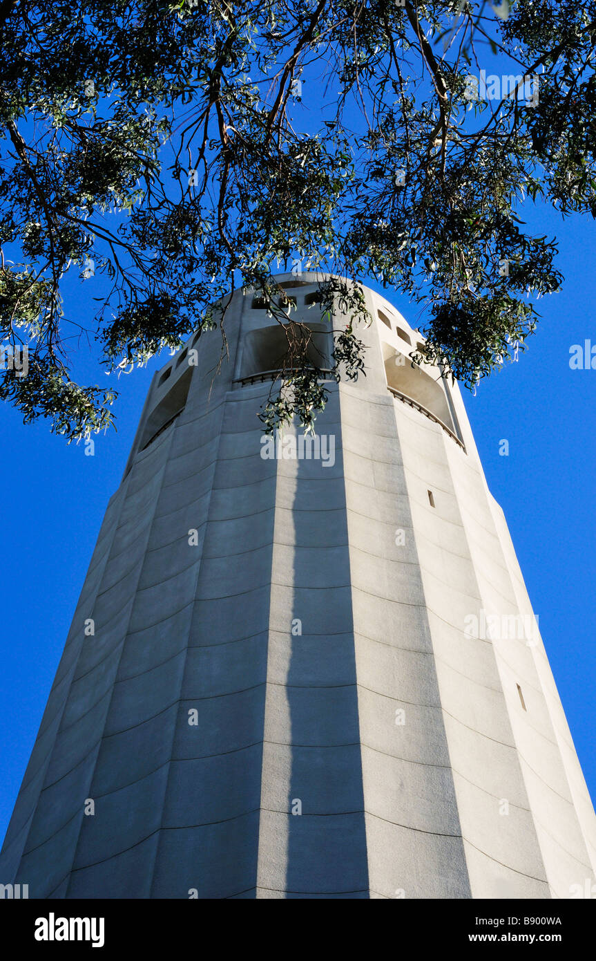 La Coit Tower dans la lumière du soir, San Francisco CA Banque D'Images
