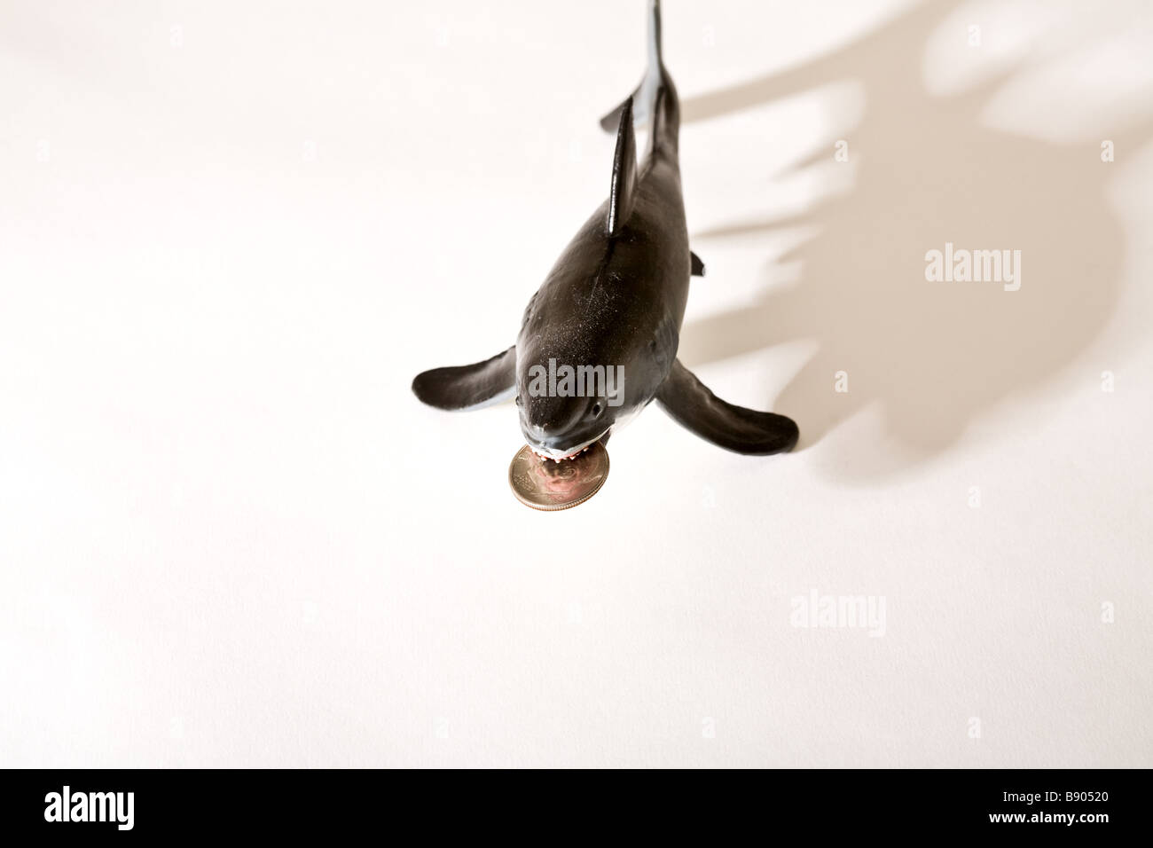 Avec un requin American sou dans la bouche de c Banque D'Images